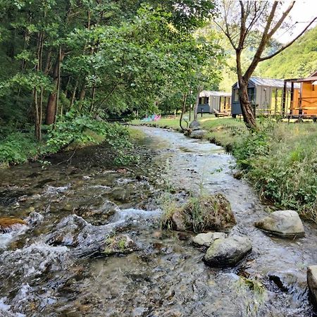 Transfagarasan River Retreat Арефу Екстер'єр фото