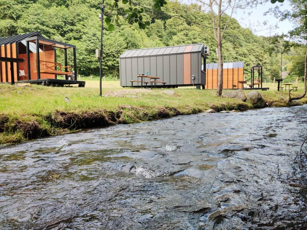 Transfagarasan River Retreat Арефу Екстер'єр фото